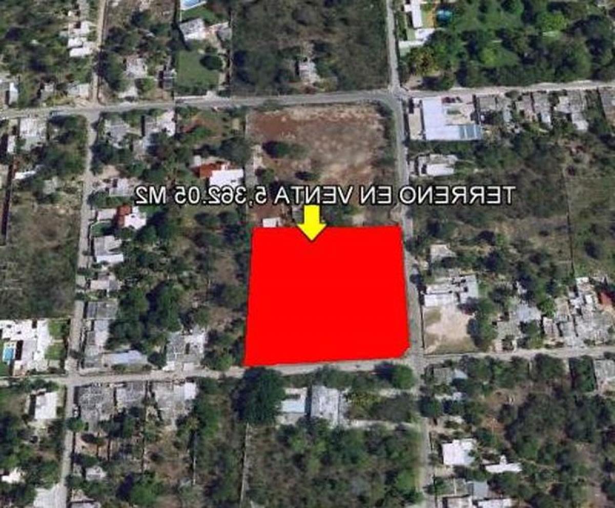 Земельный участок в Мерида, Мексика № 124337