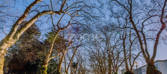 Hotel de 16 dormitorios en Porto, Portugal No. 320583 28