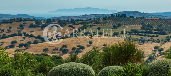 8 rooms Villa in Magliano in Toscana, Italy No. 287665 28