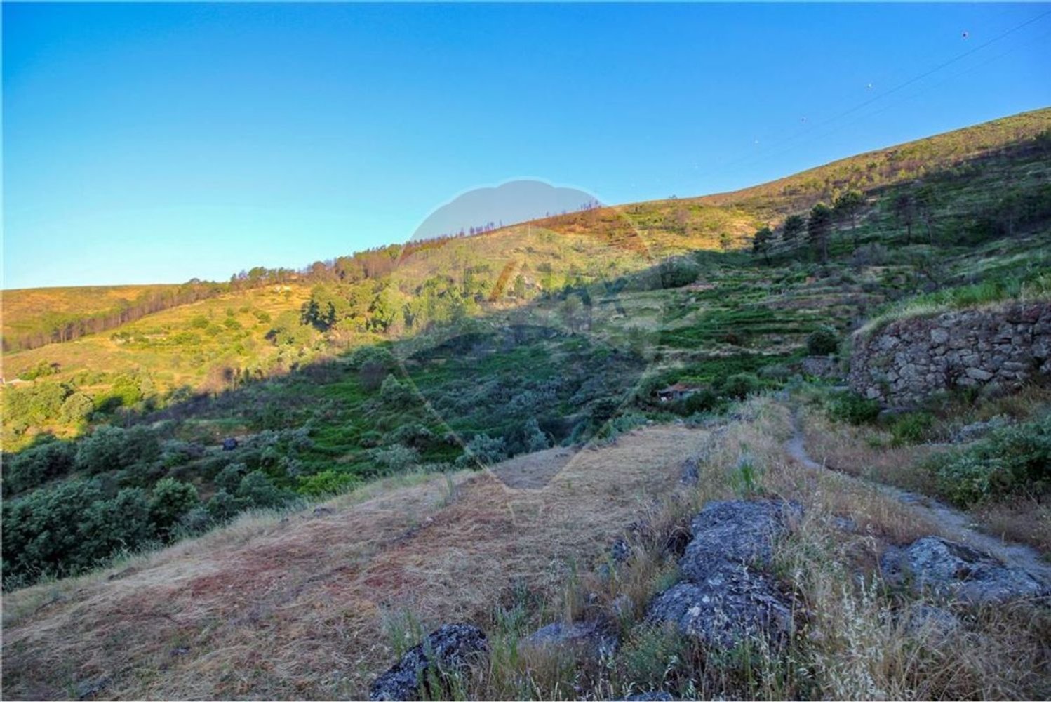  قطعة أرض في Covilha, Portugal 53990متر مربع رقم 67928