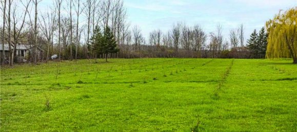 3 bedrooms House in Selkirk, Canada No. 119 8