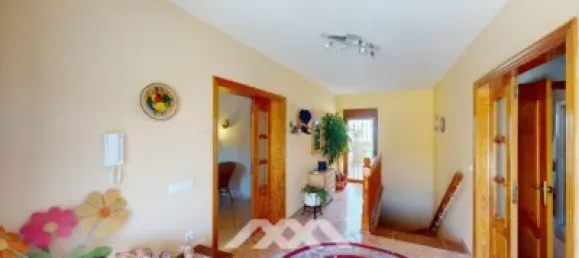 7 Schlafzimmer Villa in Iznate, Spain, Nr. 48546 3