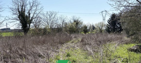 4200m² Land in Gorizia, Italy No. 13393 5