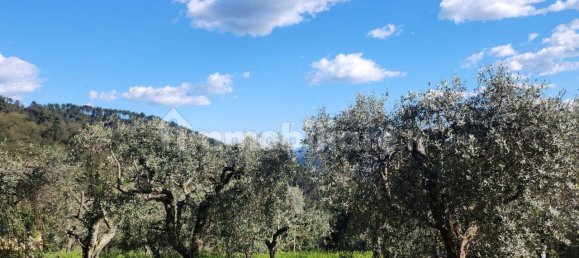 Casa de 3 dormitorios en Pescaglia, Italy No. 147190 23