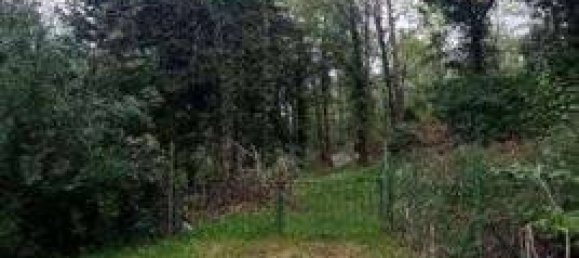 2 bedrooms Apartment in Golasecca, Italy No. 261720 11