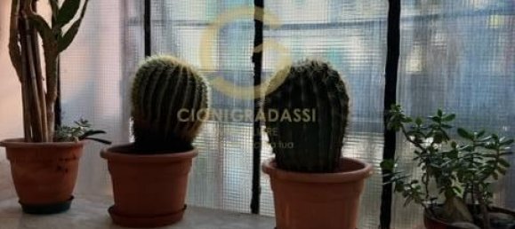 3 rooms Apartment in Livorno, Italy No. 125587 22