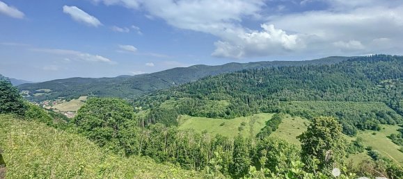 10 bedrooms House in Sainte-Marie-aux-Mines, France No. 270687 14