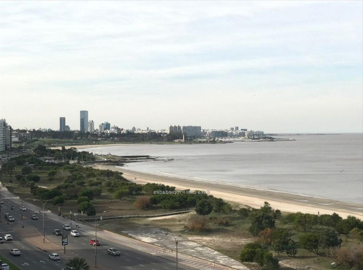 Studio in Montevideo, Uruguay, Nr. 8796