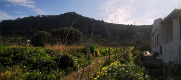 5-Zimmer Villa in Ustica, Italy, Nr. 288677 5