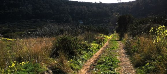 5-Zimmer Villa in Ustica, Italy, Nr. 288677 34