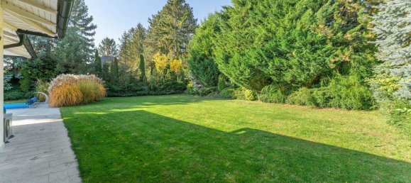 4 rooms Bungalow in Bad Fischau-Brunn, Austria No. 161185 30