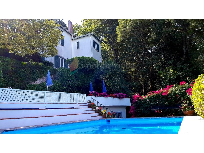 5 bedrooms House in Sintra, Portugal No. 120624