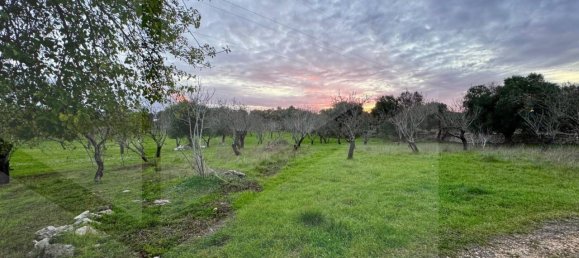 Casa de 3 habitaciónes en Ostuni, Italy No. 19608 7