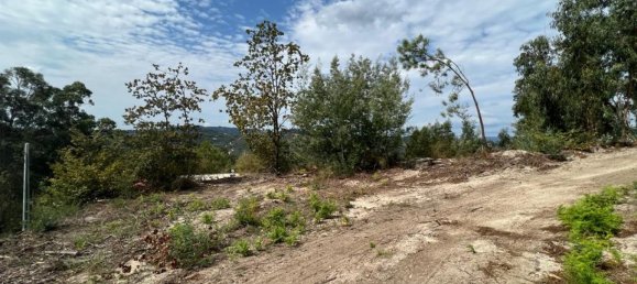 Terreno em Marco de Canaveses, Portugal N.º 61795 3