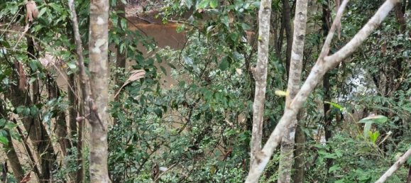  منزل في Bauple Forest, Australia رقم 822 16