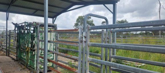  منزل في Bauple Forest, Australia رقم 822 8