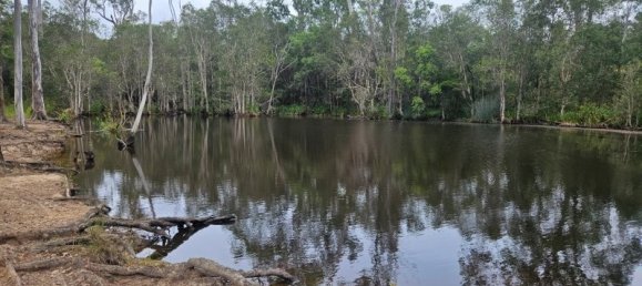  منزل في Bauple Forest, Australia رقم 822 2