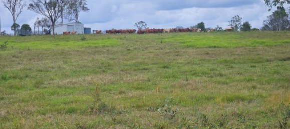  منزل في Bauple Forest, Australia رقم 822 10