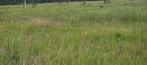  منزل في Bauple Forest, Australia رقم 822 21