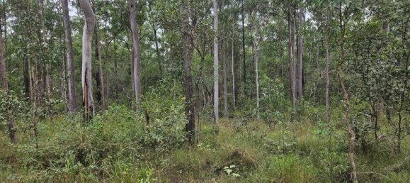  منزل في Bauple Forest, Australia رقم 822 19