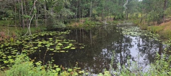  منزل في Bauple Forest, Australia رقم 822 3