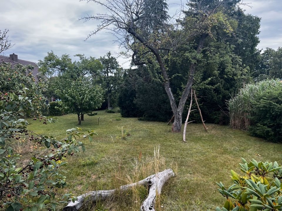  Land in Teltow-Flaming, Germany No. 106013