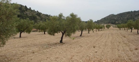 Terreno en Sax, Spain 130672 m² No. 97057 9