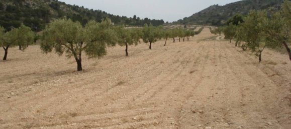 Terreno en Sax, Spain 130672 m² No. 97057 8