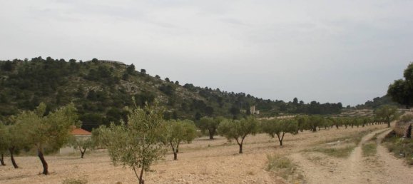 Terreno en Sax, Spain 130672 m² No. 97057 10