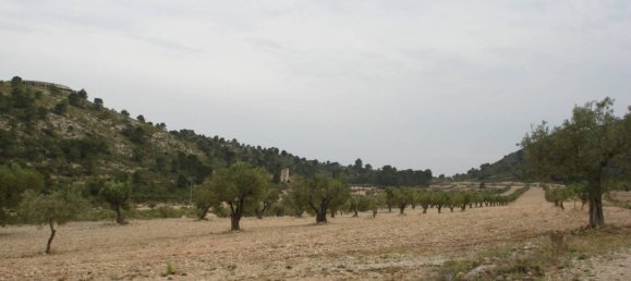 Terreno en Sax, Spain 130672 m² No. 97057 4