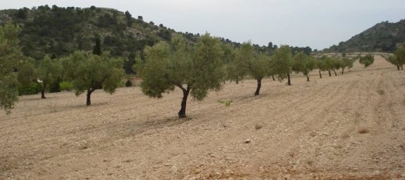 Terreno en Sax, Spain 130672 m² No. 97057 2