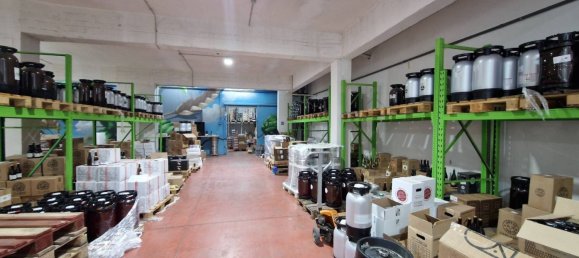 2740m² Warehouse in Rome, Italy No. 119851 22