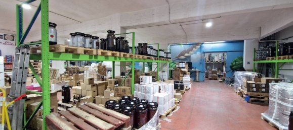 2740m² Warehouse in Rome, Italy No. 119851 23