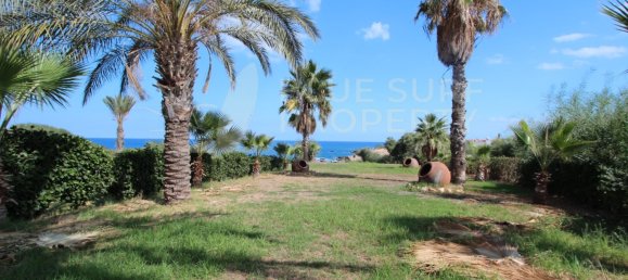 4 Schlafzimmer Villa in Paralimni, Cyprus, Nr. 9249 6