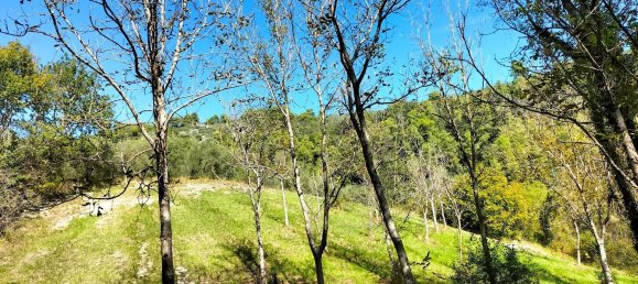  قطعة أرض في Arrone, Italy 40000متر مربع رقم 317207 7