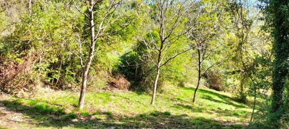  قطعة أرض في Arrone, Italy 40000متر مربع رقم 317207 8