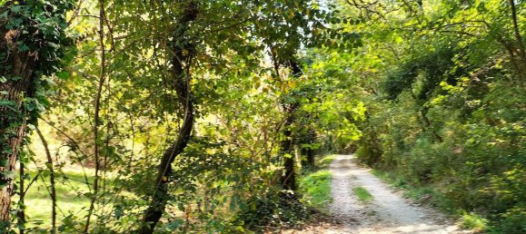  قطعة أرض في Arrone, Italy 40000متر مربع رقم 317207 3