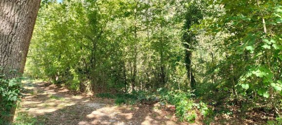  قطعة أرض في Arrone, Italy 40000متر مربع رقم 317207 6