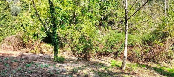  قطعة أرض في Arrone, Italy 40000متر مربع رقم 317207 2