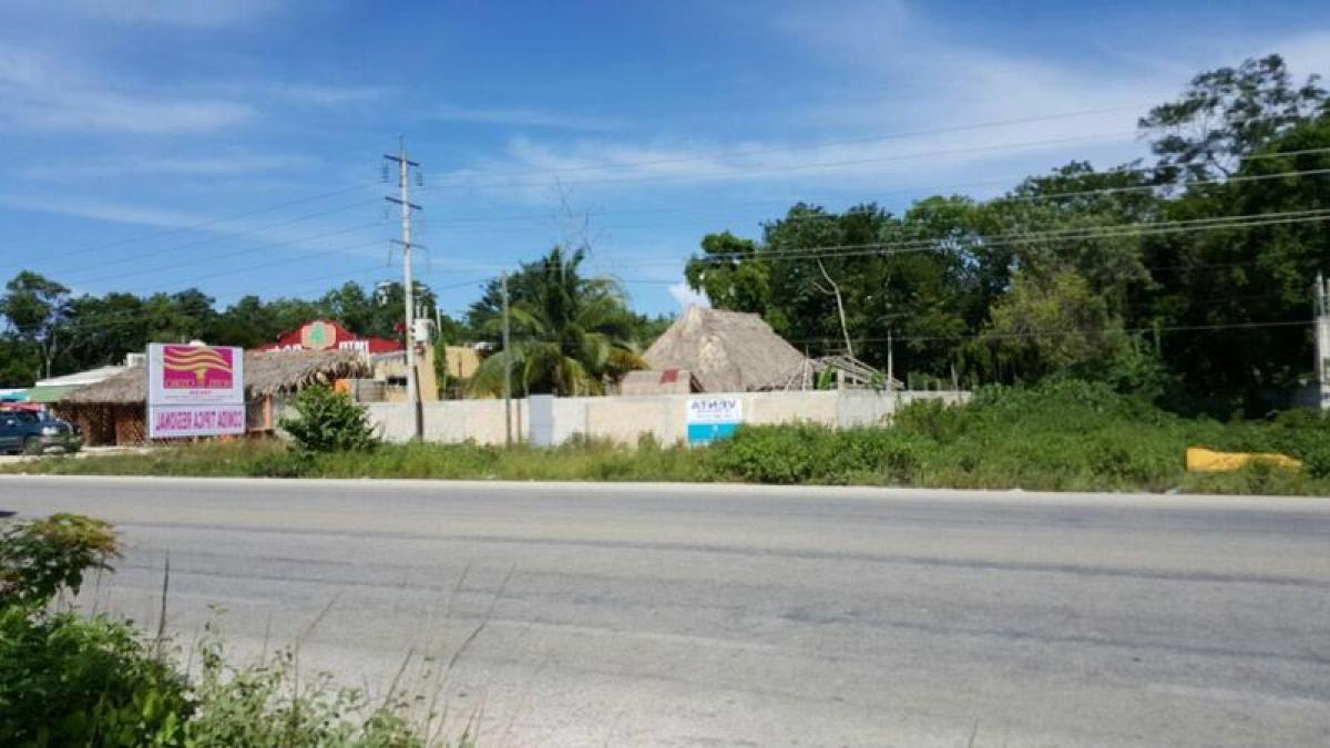 Terrain à Tulum, Mexico No. 127439