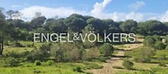 6 bedrooms House in Almada, Portugal No. 13997 30