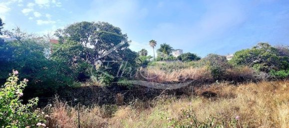 5214m² Land in Santa Ursula, Spain No. 169903 8