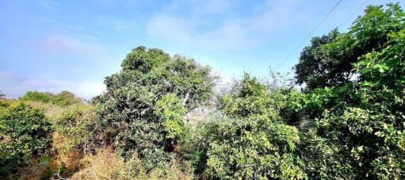 5214m² Land in Santa Ursula, Spain No. 169903 3