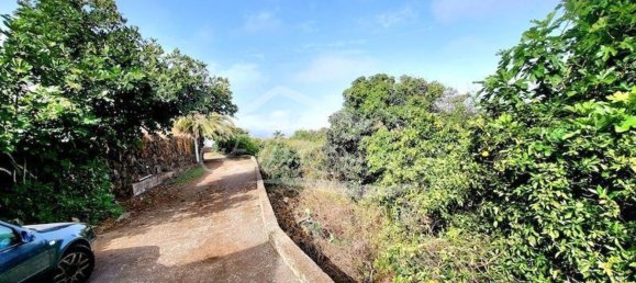 5214m² Land in Santa Ursula, Spain No. 169903 4