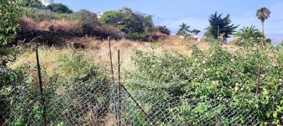 5214m² Land in Santa Ursula, Spain No. 169903 6
