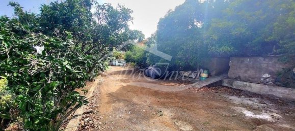 5214m² Land in Santa Ursula, Spain No. 169903 12