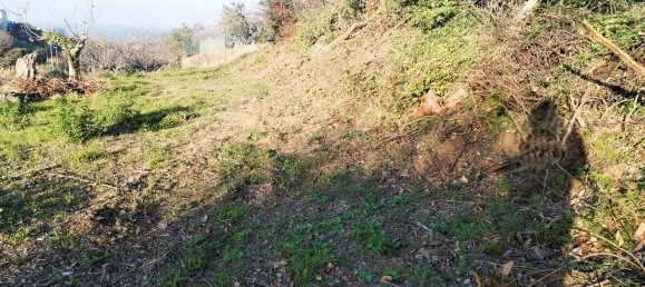 1-Zimmer Grundstück in Villalfonsina, Italy, Nr. 69335 5