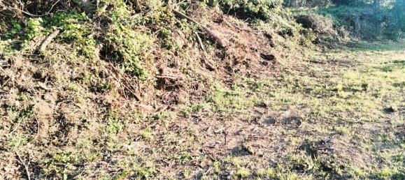 1-Zimmer Grundstück in Villalfonsina, Italy, Nr. 69335 13