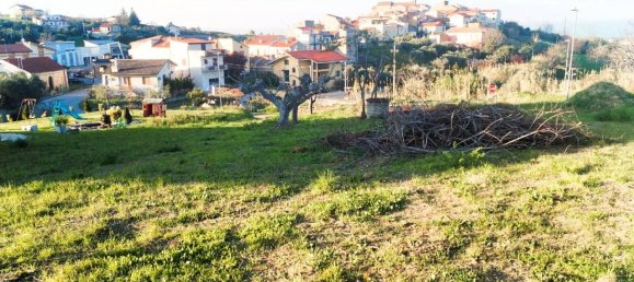 1-Zimmer Grundstück in Villalfonsina, Italy, Nr. 69335 3