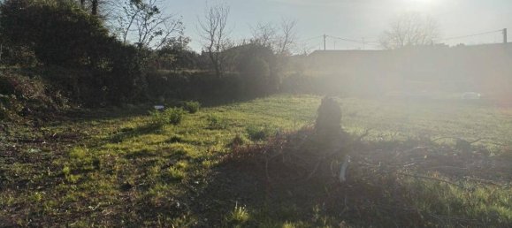 1-Zimmer Grundstück in Villalfonsina, Italy, Nr. 69335 17